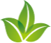 Image (1)